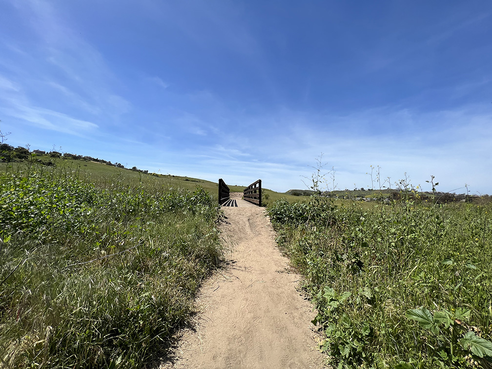 Bommer Canyon in Irvine, California (Photo by Julie Nguyen)