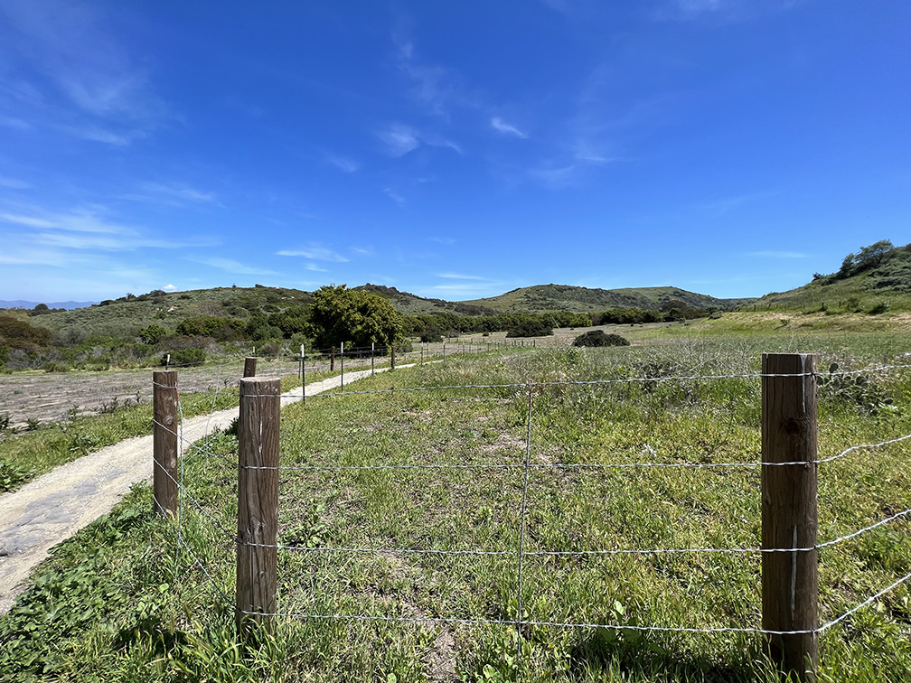 Bommer Canyon in Irvine, California (Photo by Julie Nguyen)