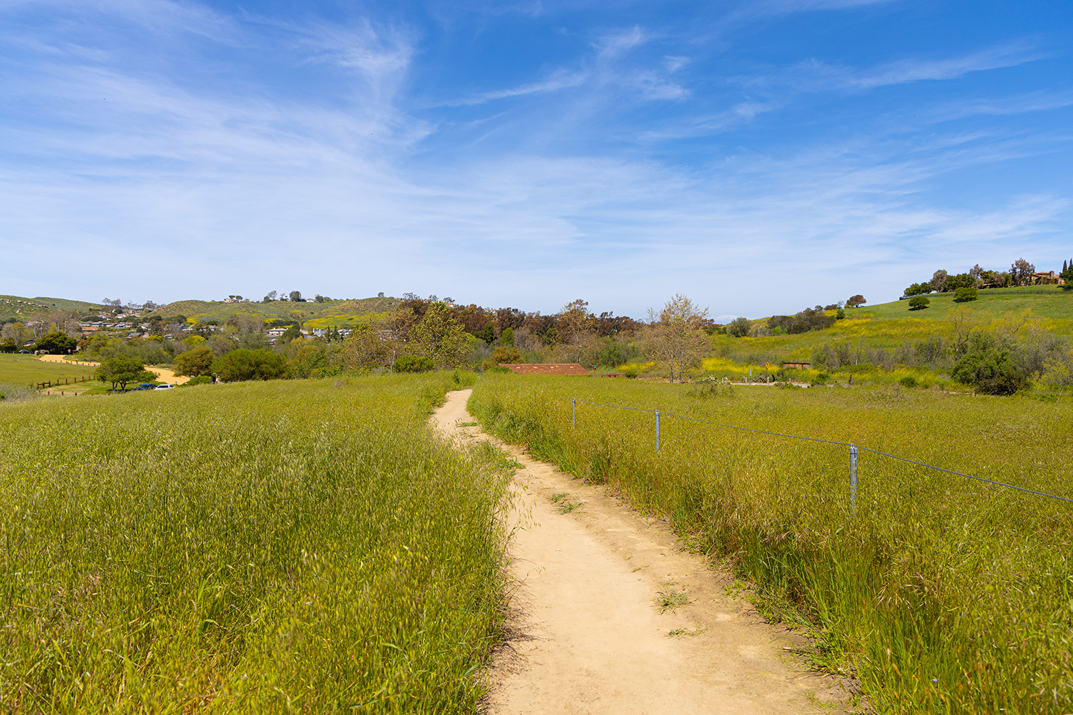 Bommer Canyon in Irvine, California (Photo by Julie Nguyen)