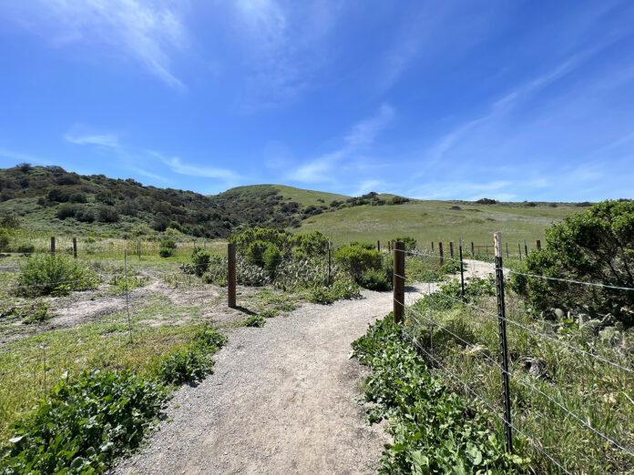 Bommer Canyon Preserve in Irvine, California (Photo by Julie Nguyen)