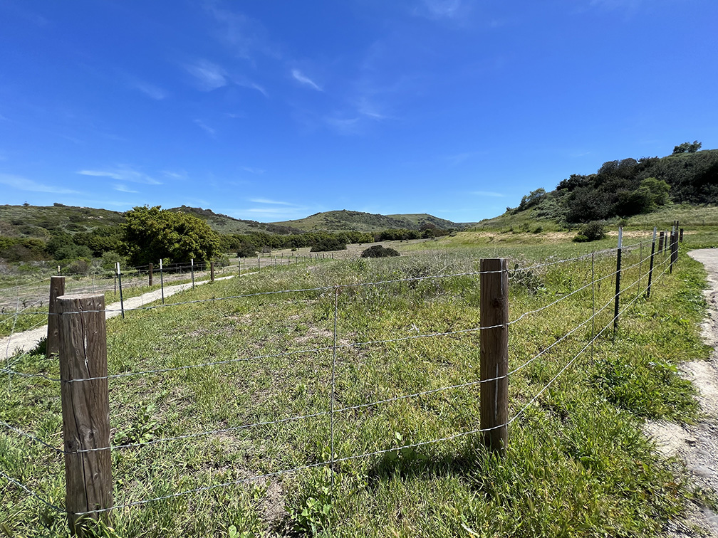 Bommer Canyon Preserve in Irvine, California (Photo by Julie Nguyen)