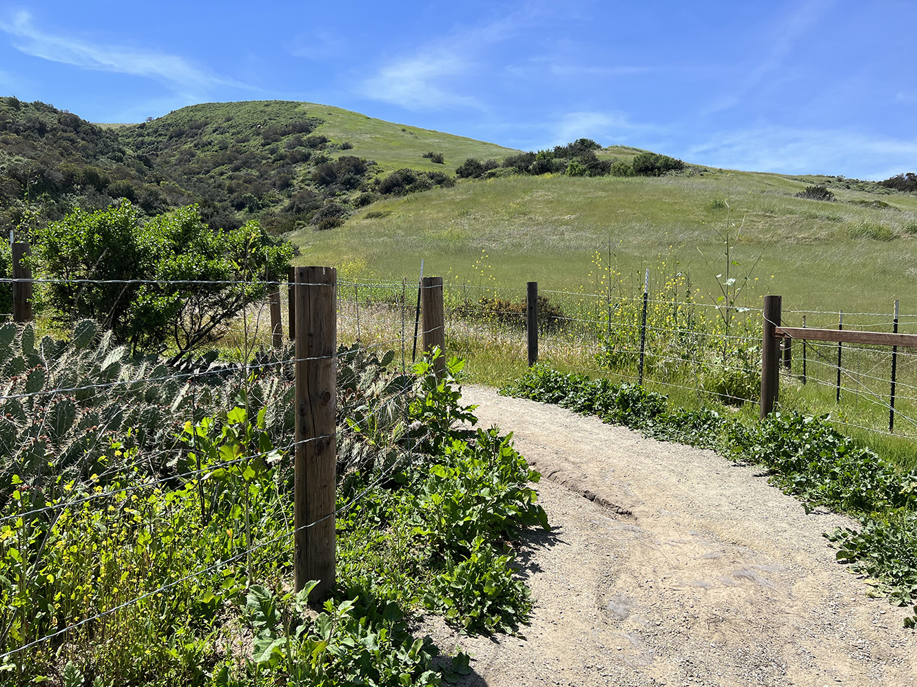 Bommer Canyon Preserve in Irvine, California (Photo by Julie Nguyen)