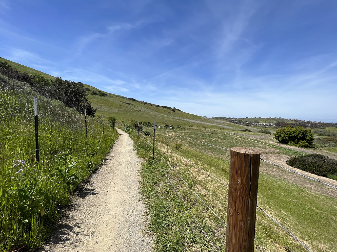 Bommer Canyon Preserve in Irvine, California (Photo by Julie Nguyen)