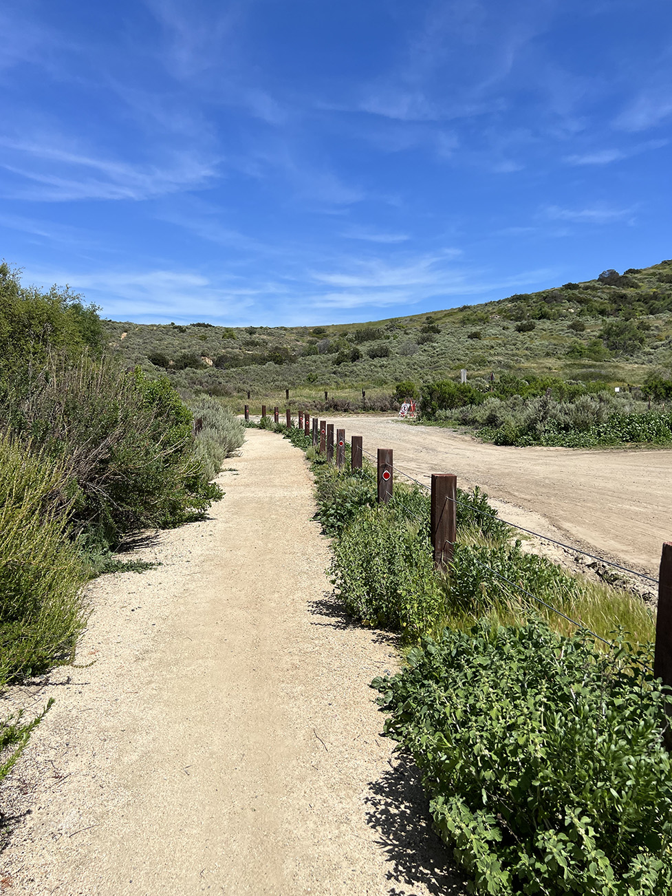 Bommer Canyon Preserve in Irvine, California (Photo by Julie Nguyen)