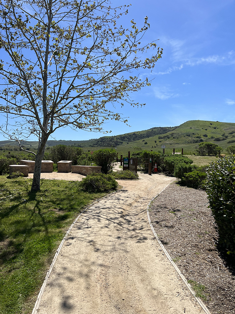 Bommer Canyon Preserve in Irvine, California (Photo by Julie Nguyen)