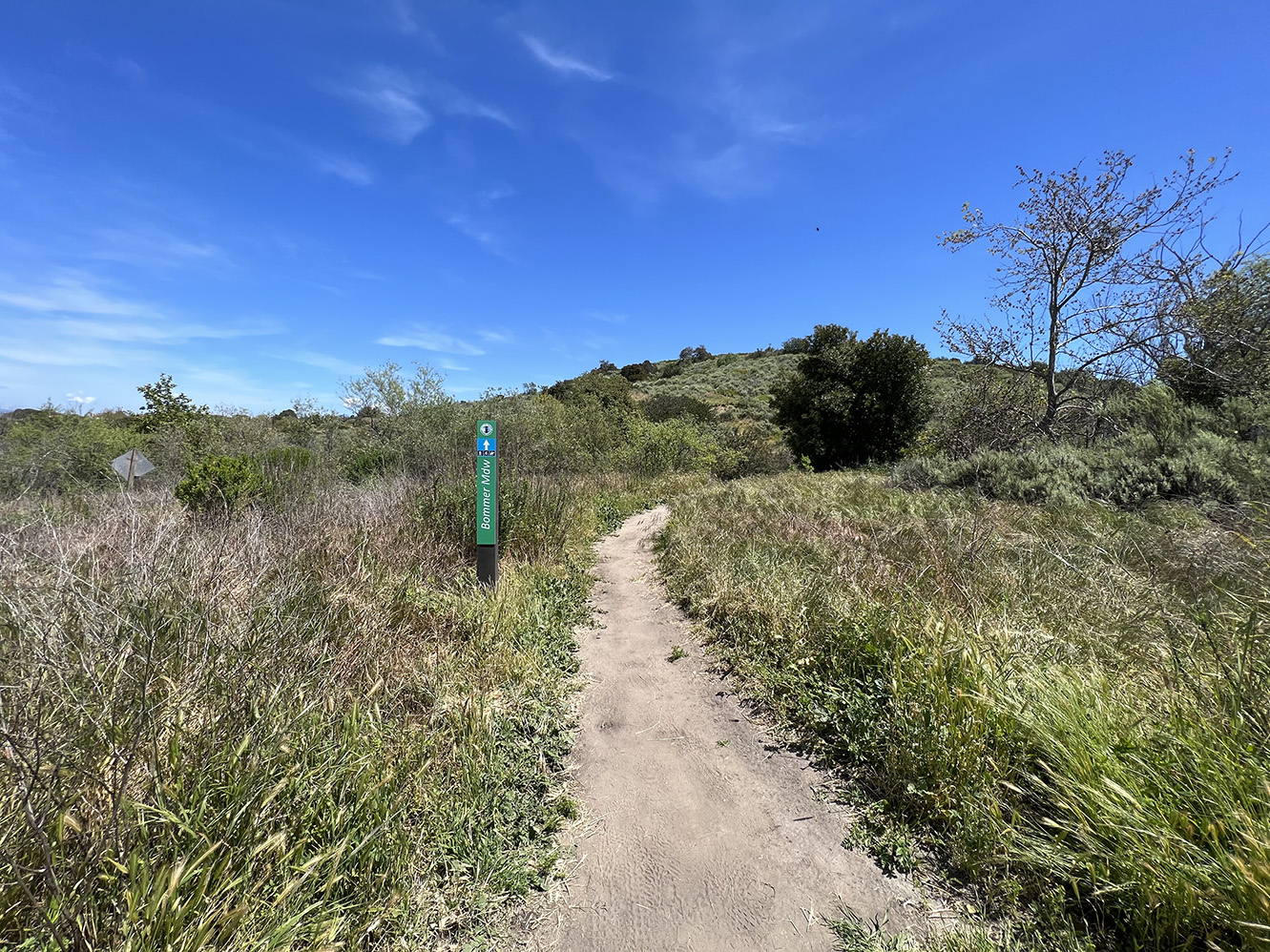 Bommer Canyon Preserve in Irvine, California (Photo by Julie Nguyen)