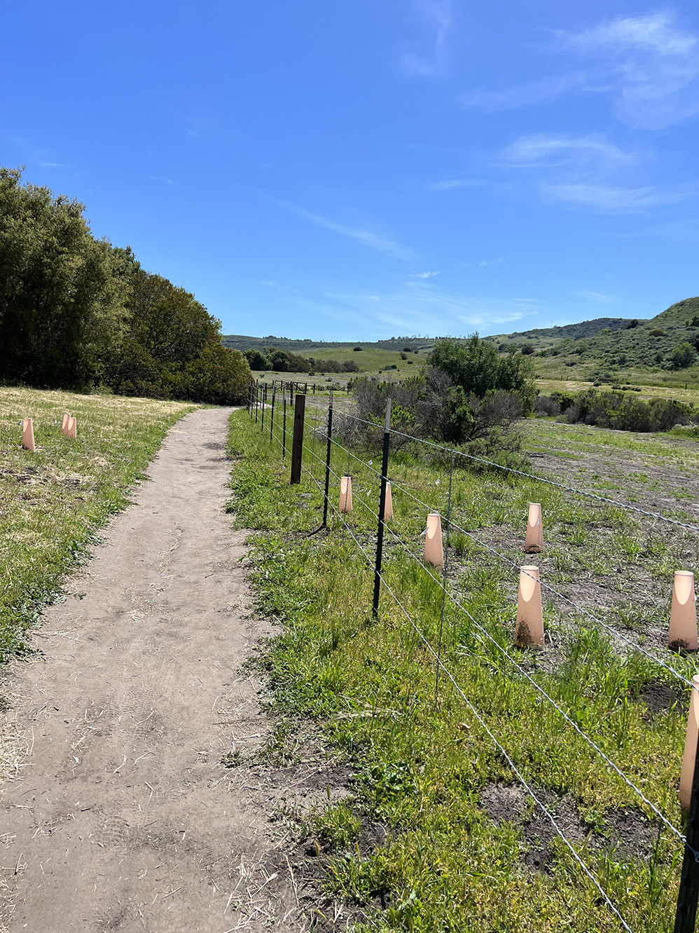 Bommer Canyon Preserve in Irvine, California (Photo by Julie Nguyen)