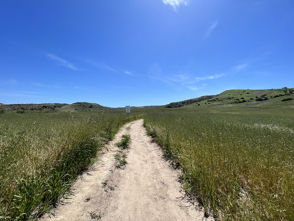 Bommer Canyon in Irvine, California (Photo by Julie Nguyen)