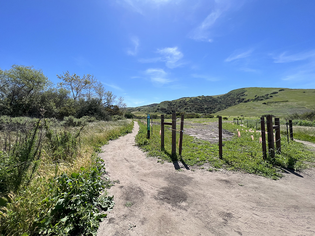 Bommer Canyon in Irvine, California (Photo by Julie Nguyen)