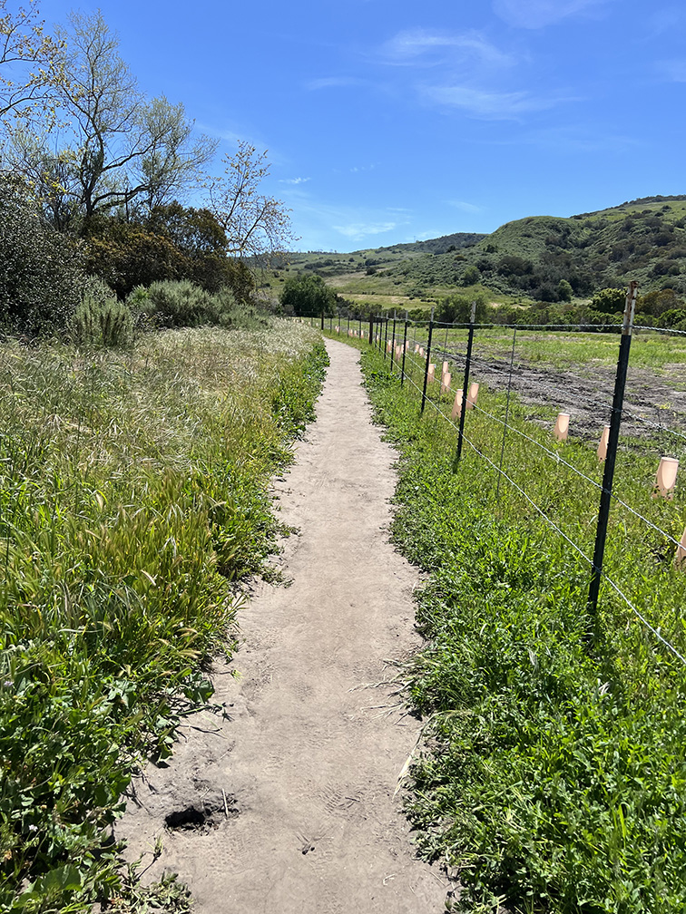 Bommer Canyon in Irvine, California (Photo by Julie Nguyen)