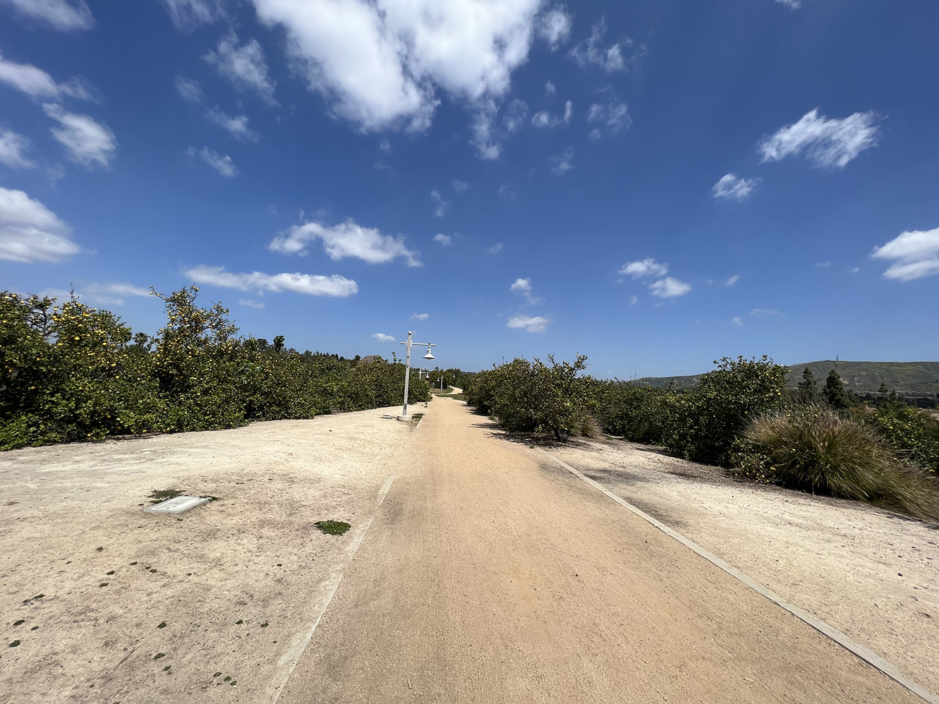 Citrus Ranch Park in Tustin, California (Photo by Julie Nguyen)