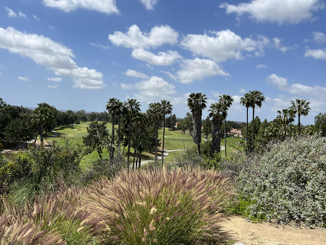 Citrus Ranch Park in Tustin, California (Photo by Julie Nguyen)