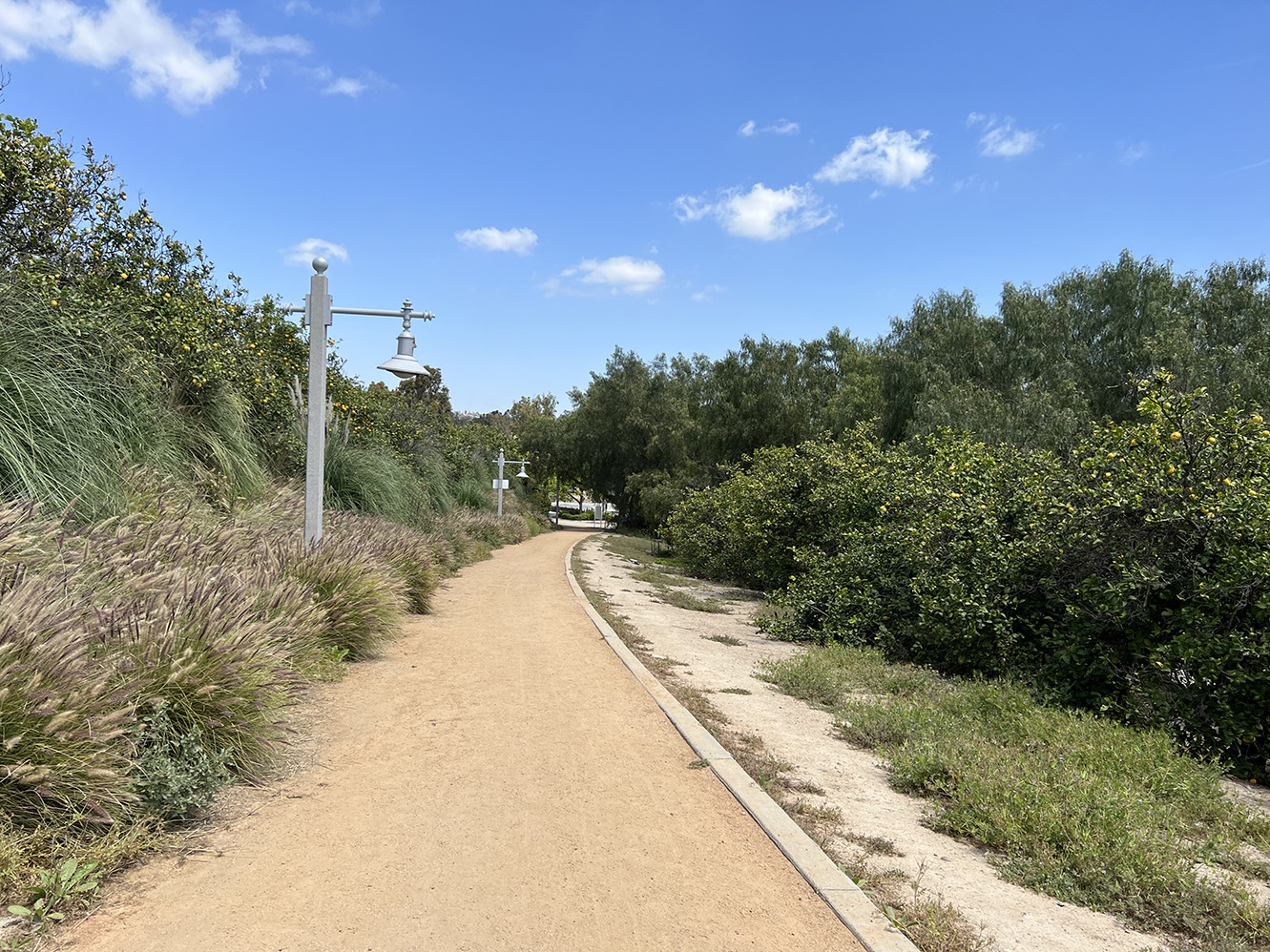 Citrus Ranch Park in Tustin, California (Photo by Julie Nguyen)