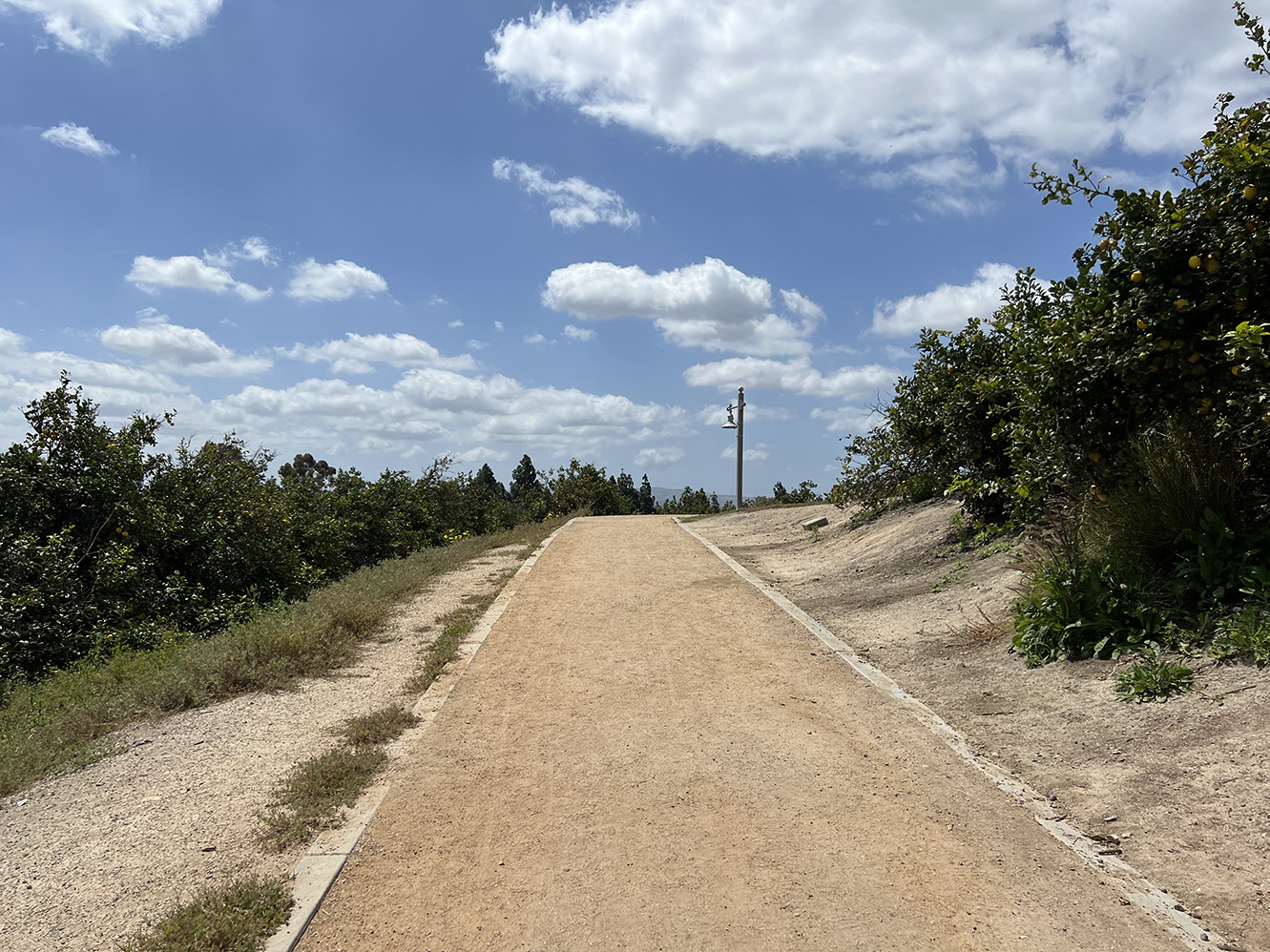 Citrus Ranch Park in Tustin, California (Photo by Julie Nguyen)