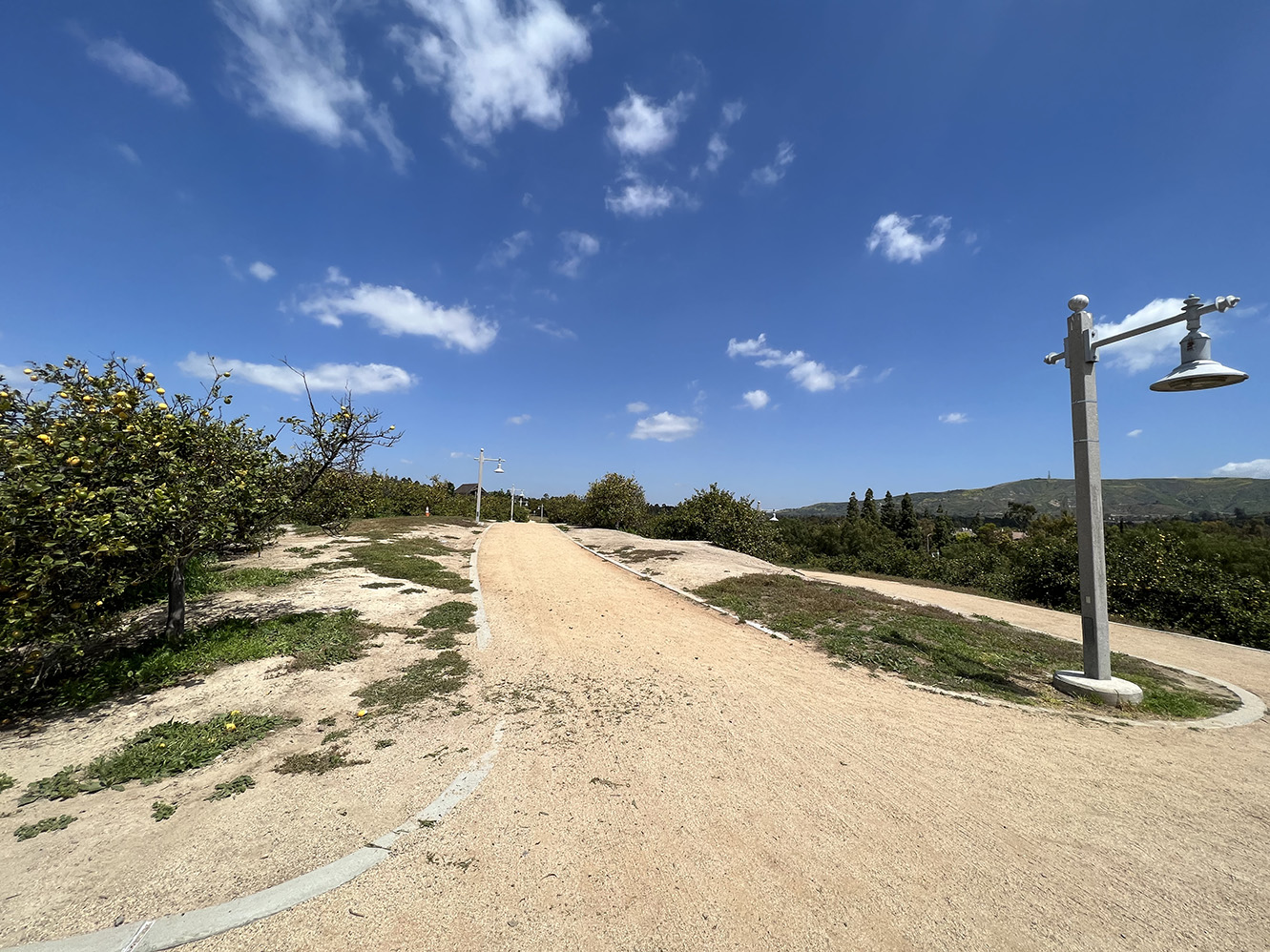 Citrus Ranch Park in Tustin, California (Photo by Julie Nguyen)