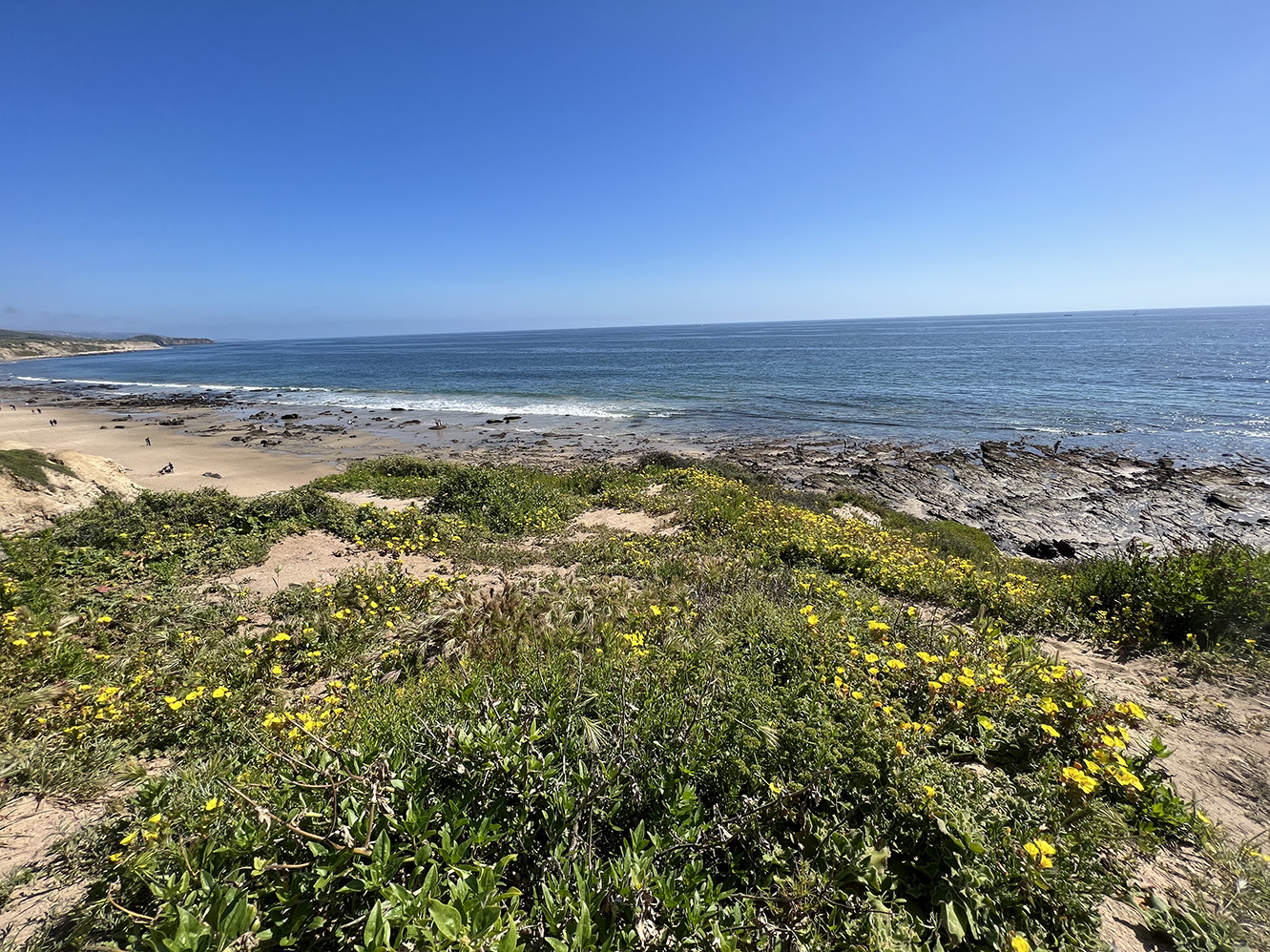 Crystal Cove State Park in Newport Beach, California (Photo by Julie Nguyen)