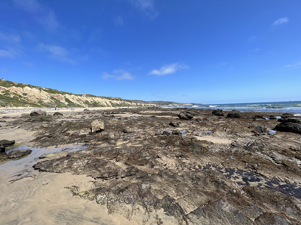 Crystal Cove State Park in Newport Beach, California (Photo by Julie Nguyen)