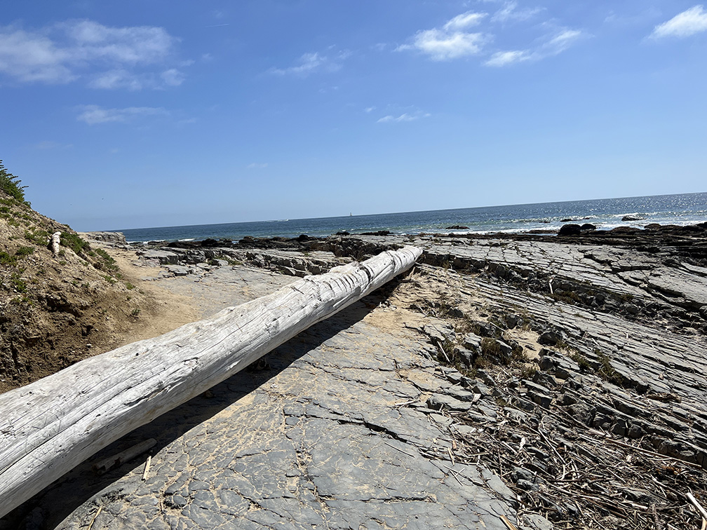 Crystal Cove State Park in Newport Beach, California (Photo by Julie Nguyen)