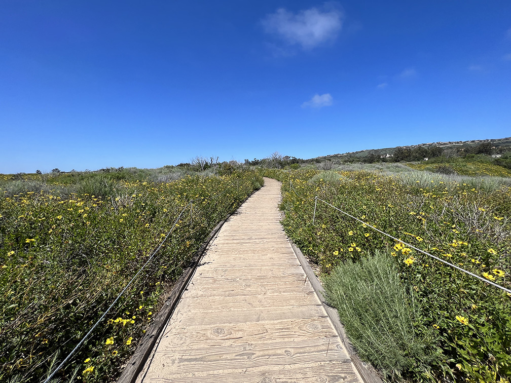 Crystal Cove State Park in Newport Beach, California (Photo by Julie Nguyen)