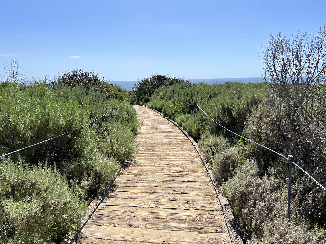 Crystal Cove State Park in Newport Beach, California (Photo by Julie Nguyen)