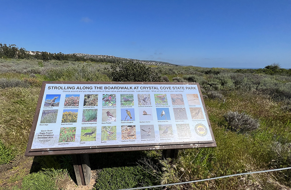 Crystal Cove State Park in Newport Beach, California (Photo by Julie Nguyen)