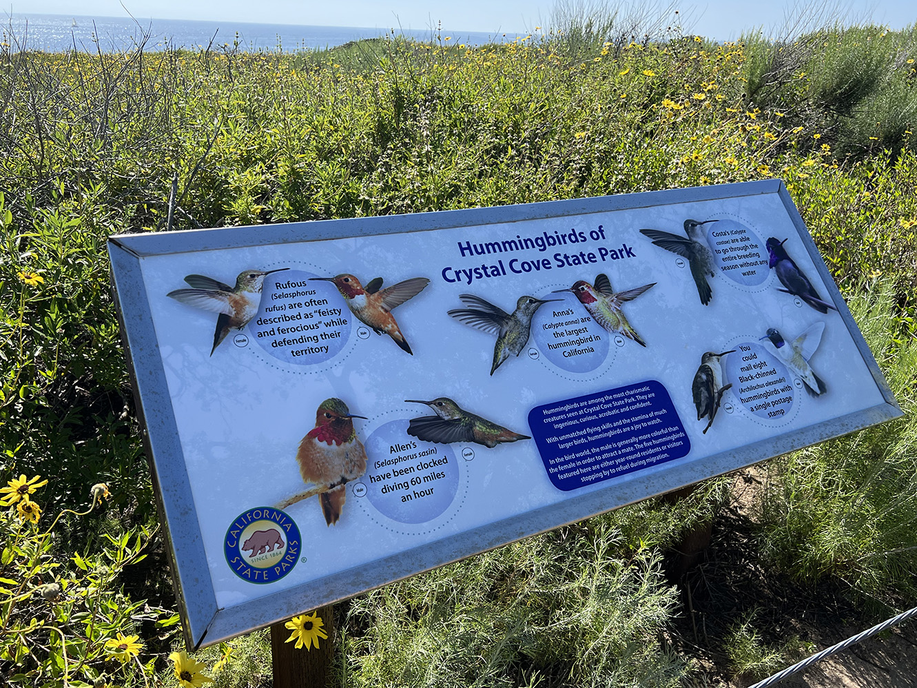 Crystal Cove State Park in Newport Beach, California (Photo by Julie Nguyen)