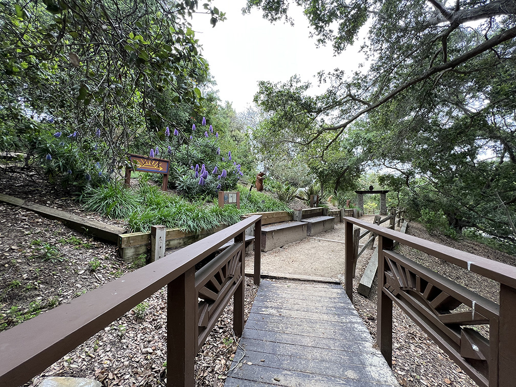 Niguel Botanical Preserve (Photo by Julie Nguyen)