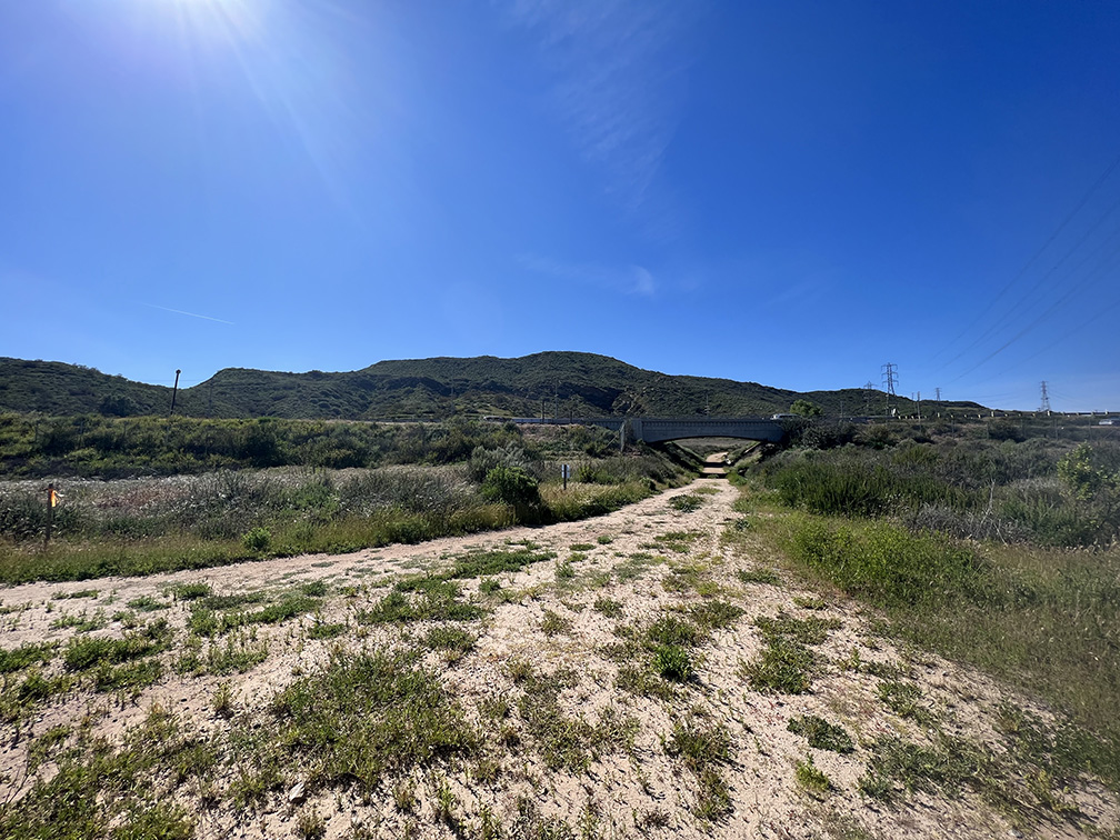 Laguna Coast Wilderness Park in Laguna Beach, California (Photo by Julie Nguyen)