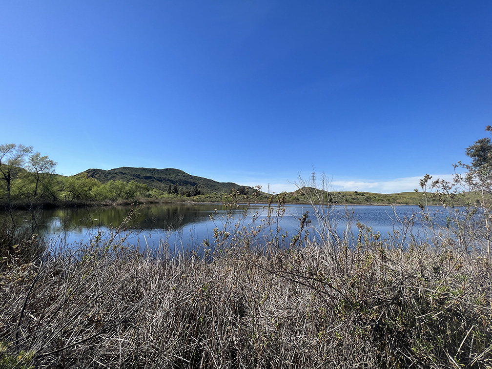 Barbara's Lake at Laguna Coast Wilderness Park in Laguna Beach, California (Photo by Julie Nguyen)