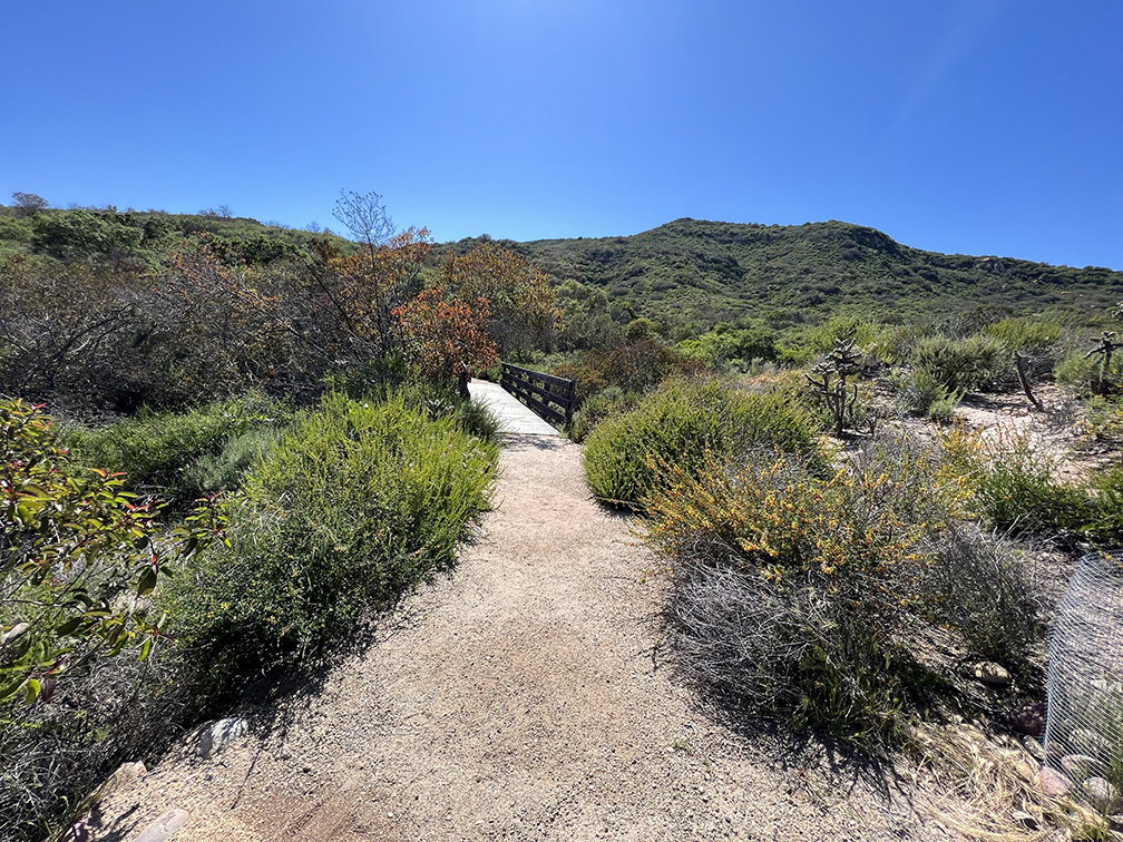 Laguna Coast Wilderness Park in Laguna Beach, California (Photo by Julie Nguyen)