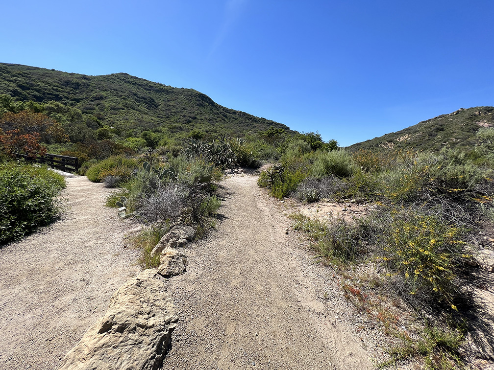 Laguna Coast Wilderness Park in Laguna Beach, California (Photo by Julie Nguyen)