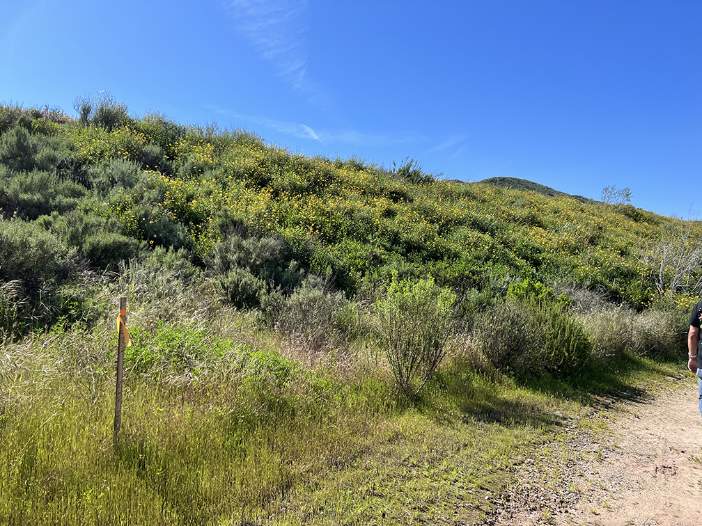 Laguna Coast Wilderness Park in Laguna Beach, California (Photo by Julie Nguyen)