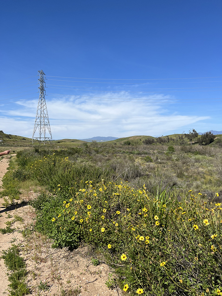 Laguna Coast Wilderness Park in Laguna Beach, California (Photo by Julie Nguyen)