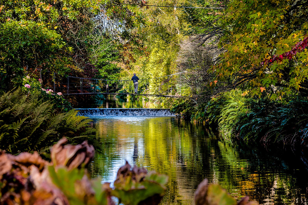 Mount Usher Gardens, Co Wicklow lead