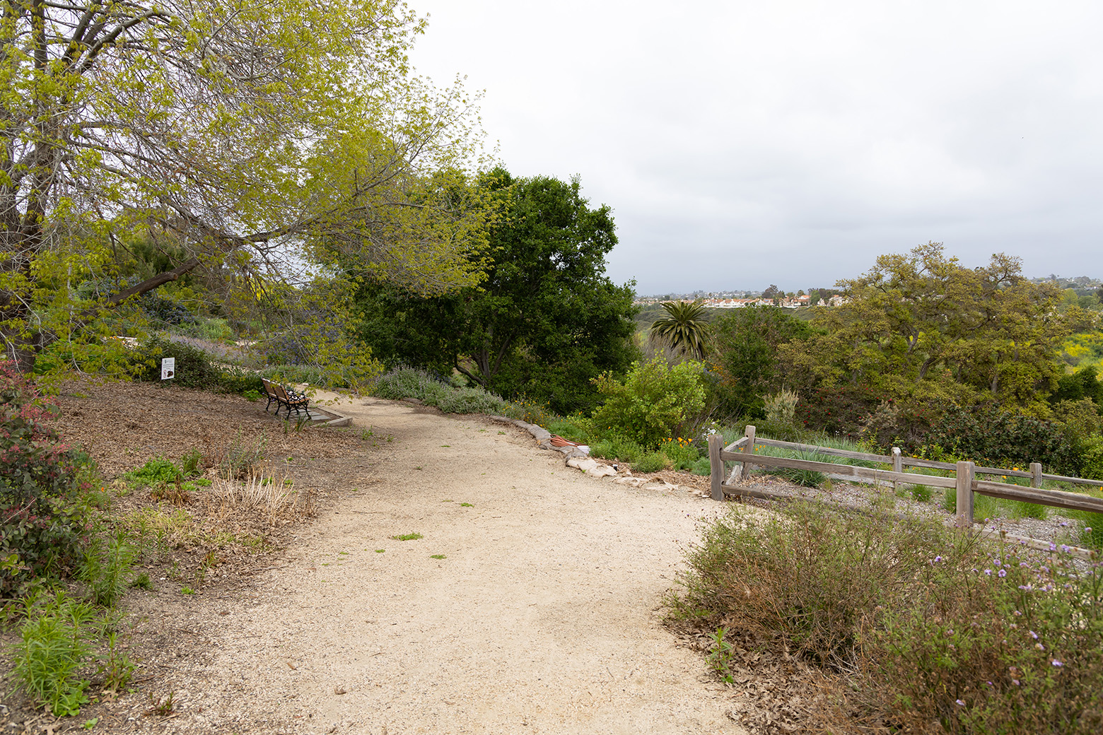 Niguel Botanical Preserve (Photo by Julie Nguyen)