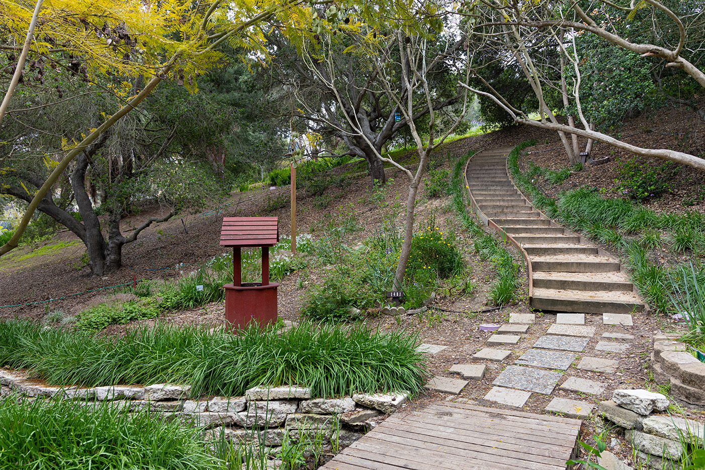 Niguel Botanical Preserve (Photo by Julie Nguyen)