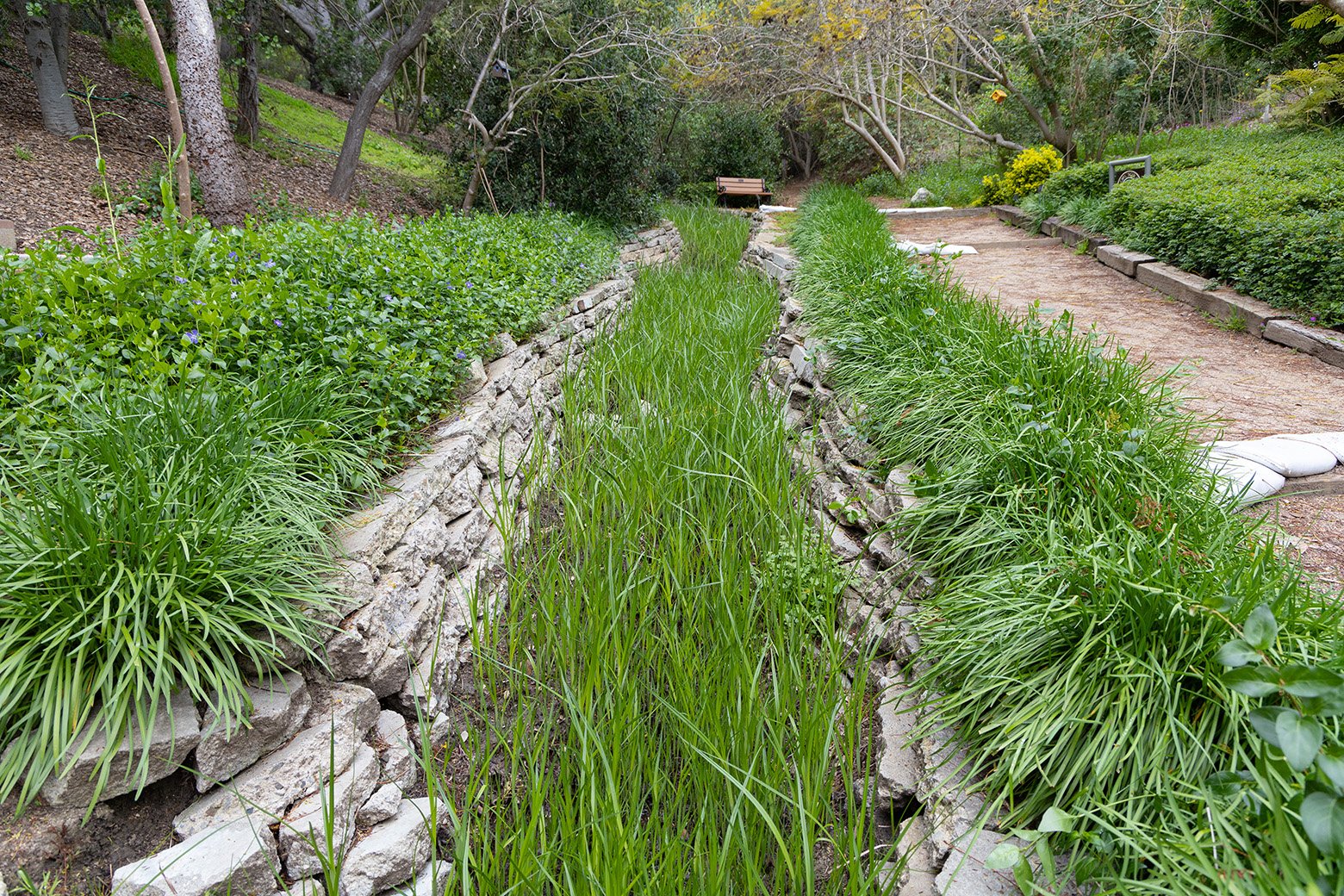 Niguel Botanical Preserve (Photo by Julie Nguyen)