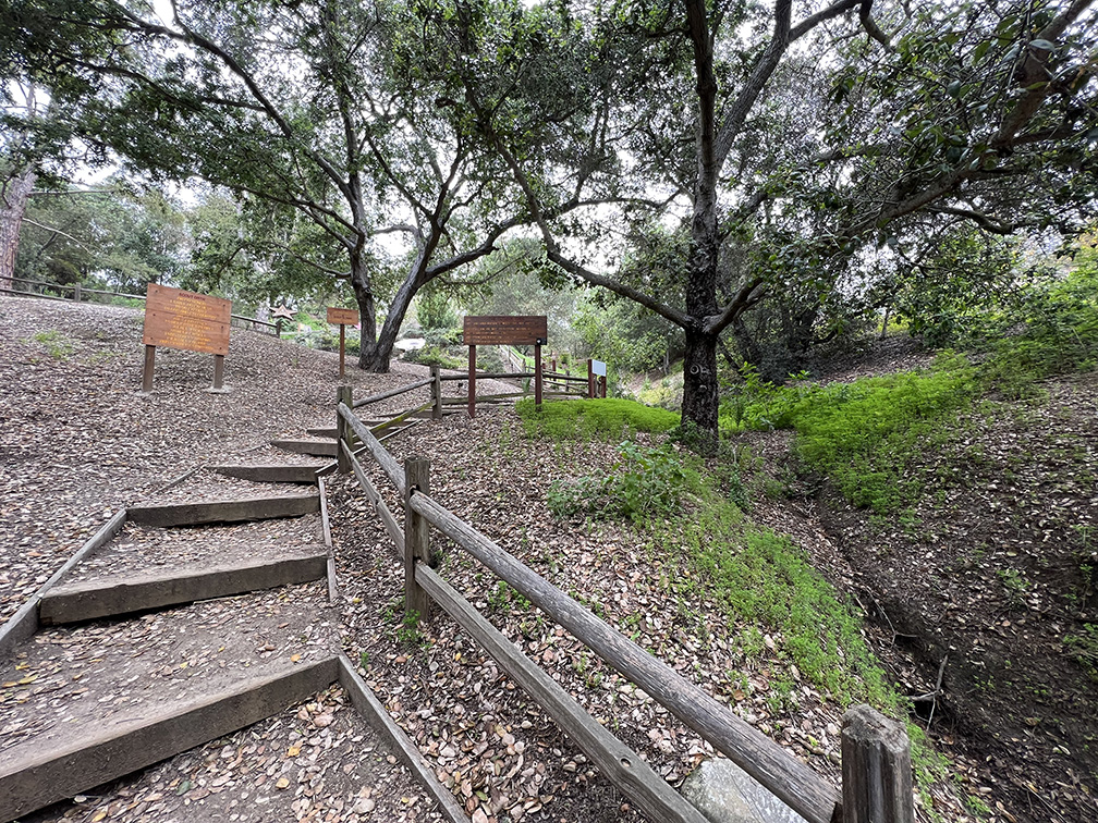 Niguel Botanical Preserve (Photo by Julie Nguyen)