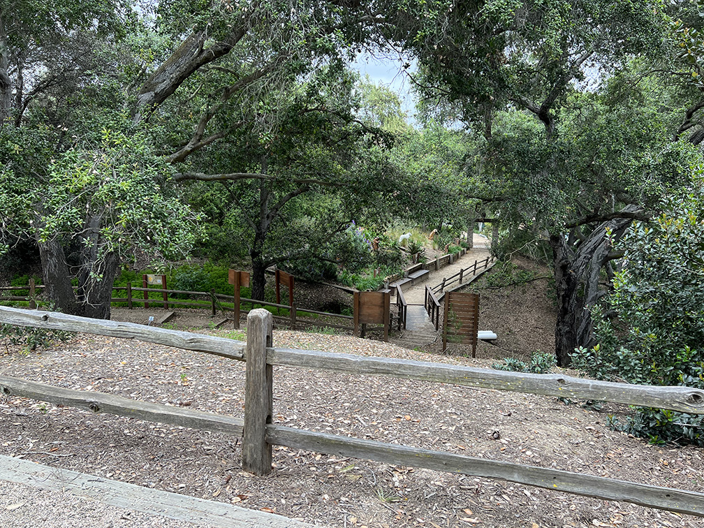 Niguel Botanical Preserve (Photo by Julie Nguyen)