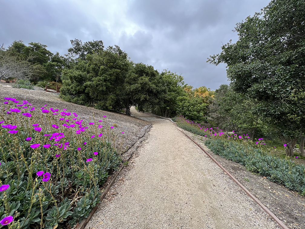 Niguel Botanical Preserve (Photo by Julie Nguyen)