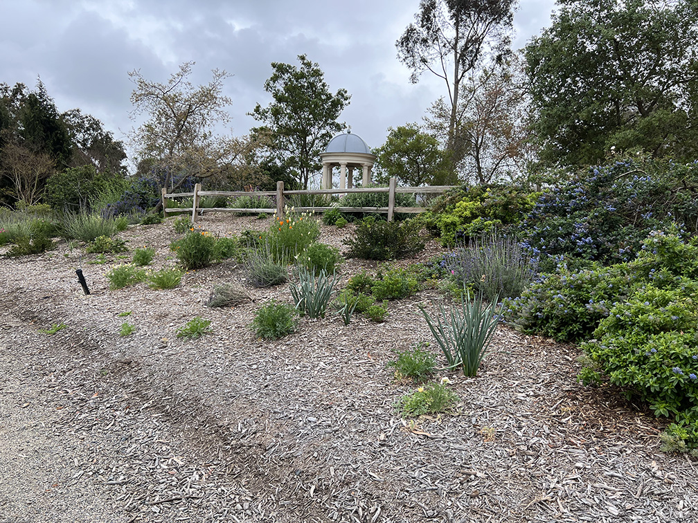 Niguel Botanical Preserve (Photo by Julie Nguyen)