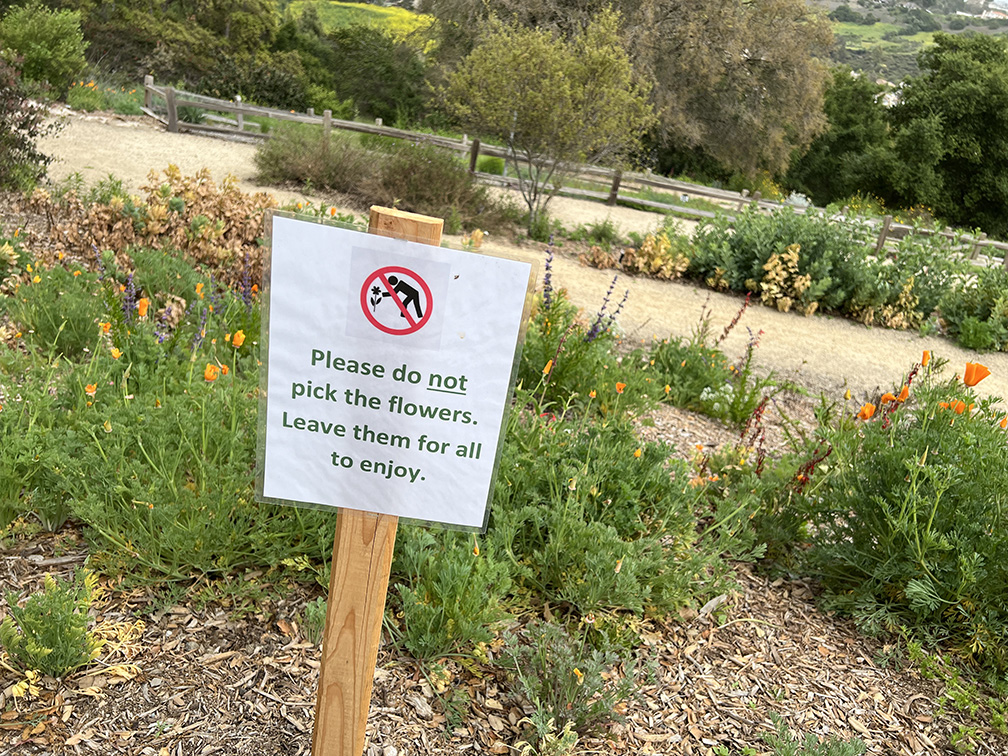 Niguel Botanical Preserve (Photo by Julie Nguyen)