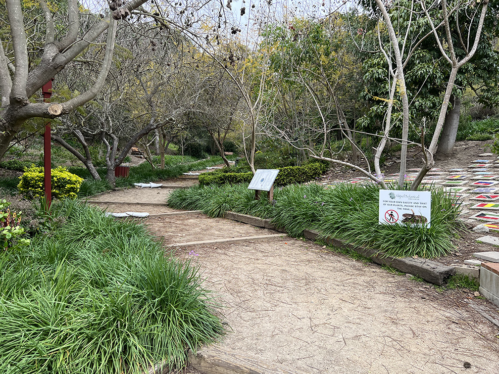 Niguel Botanical Preserve (Photo by Julie Nguyen)