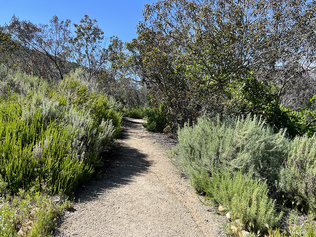 Laguna Coast Wilderness Park in Laguna Beach, California (Photo by Julie Nguyen)