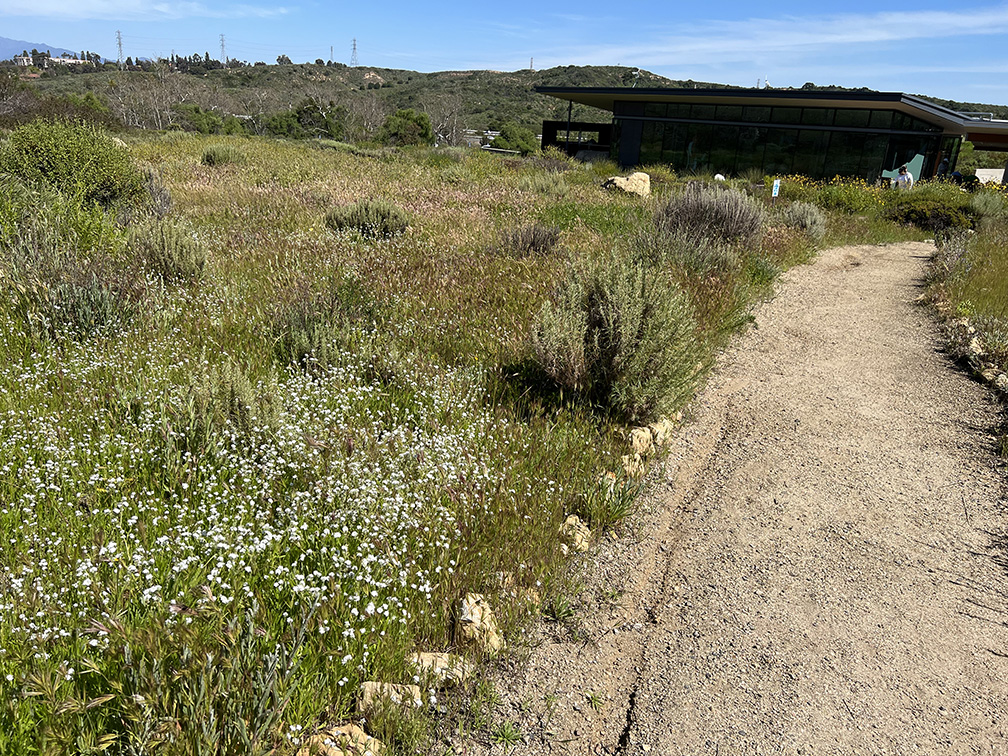 Laguna Coast Wilderness Park in Laguna Beach, California (Photo by Julie Nguyen)