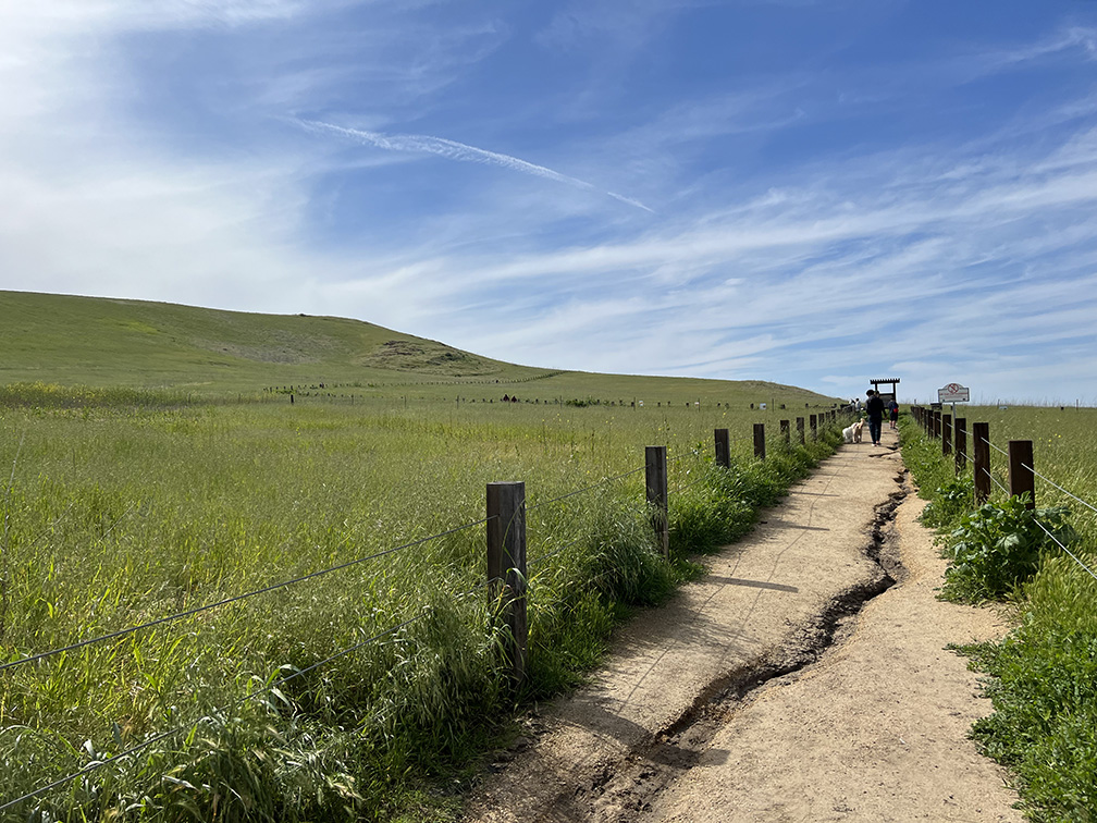 Quail Hill Trail in Irvine, California (Photo by Julie Nguyen)