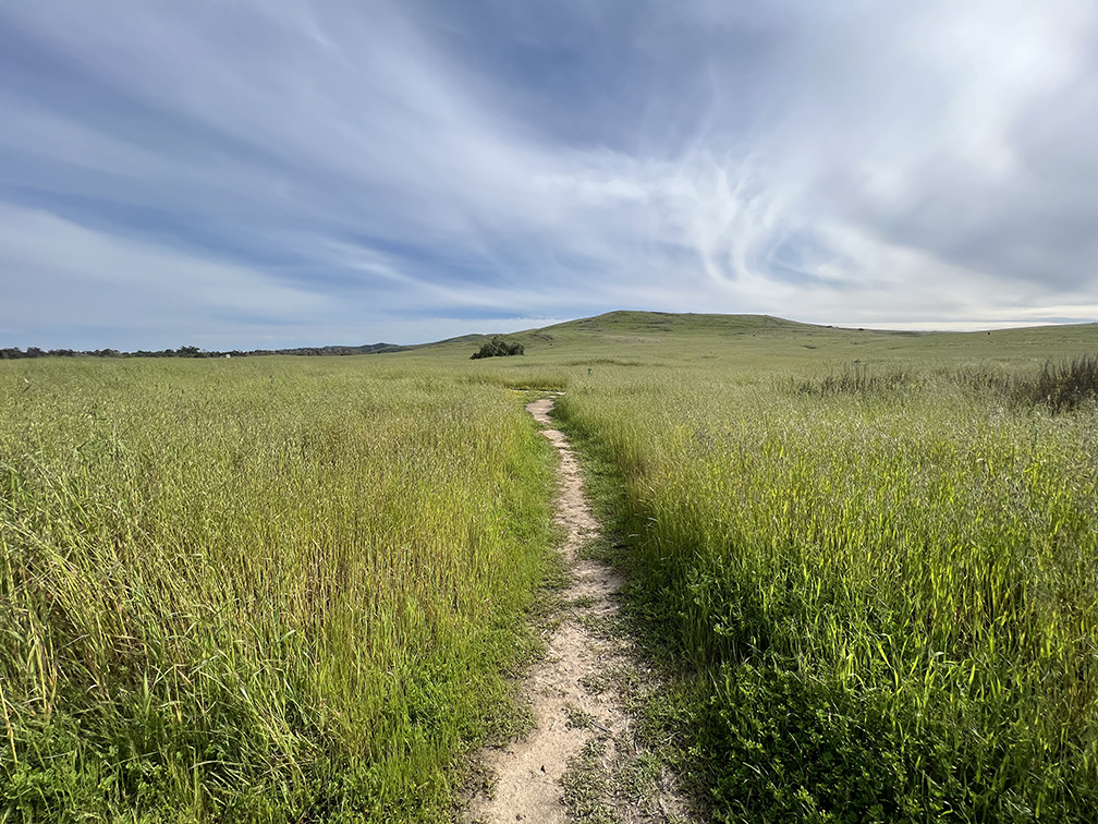 Quail Hill Trail in Irvine, California (Photo by Julie Nguyen)