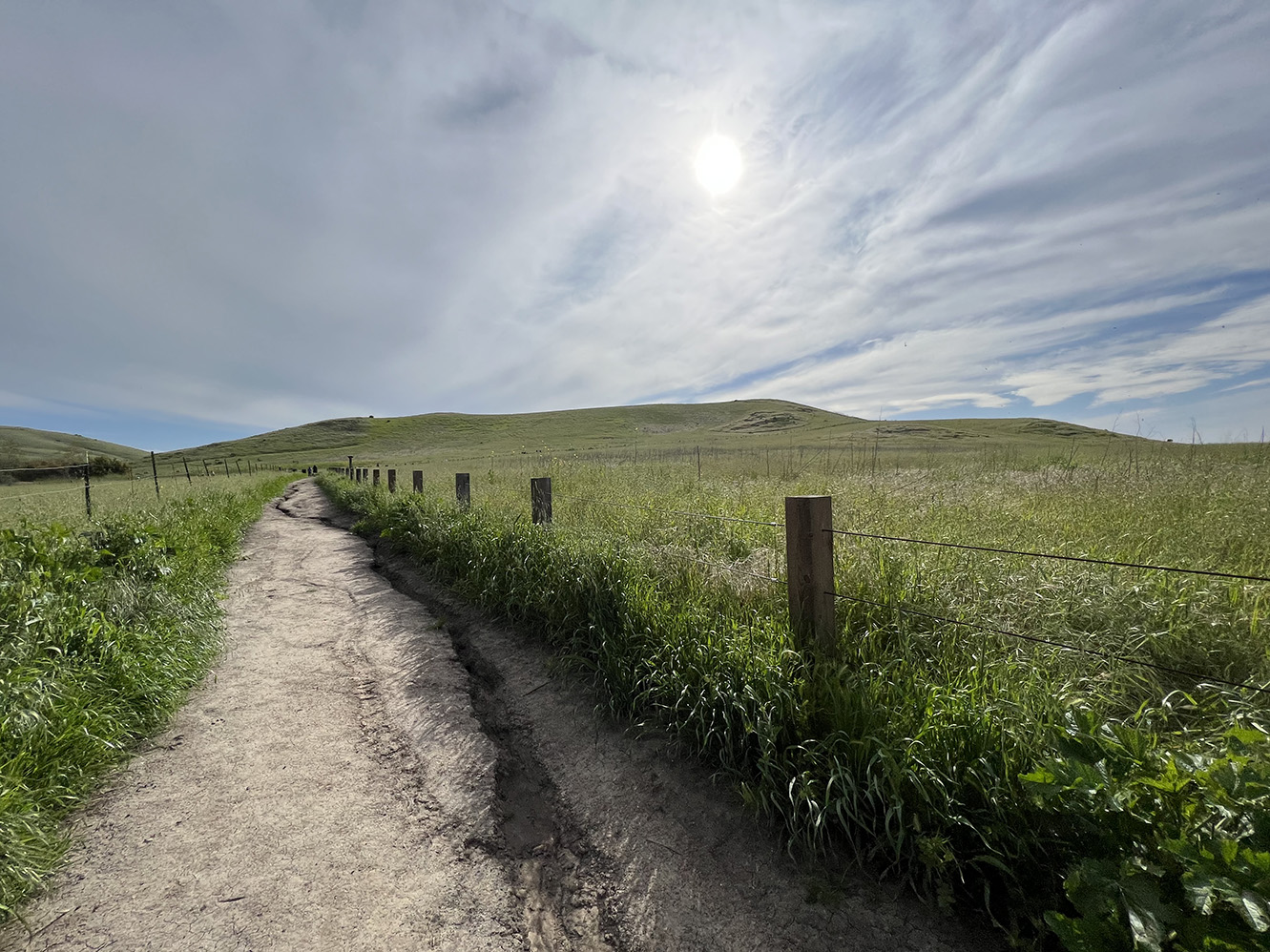 Quail Hill Trail in Irvine, California (Photo by Julie Nguyen)