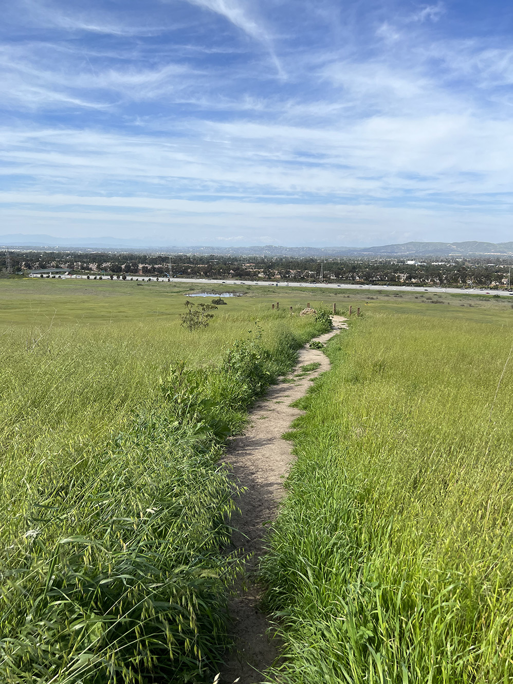 Quail Hill Trail in Irvine, California (Photo by Julie Nguyen)