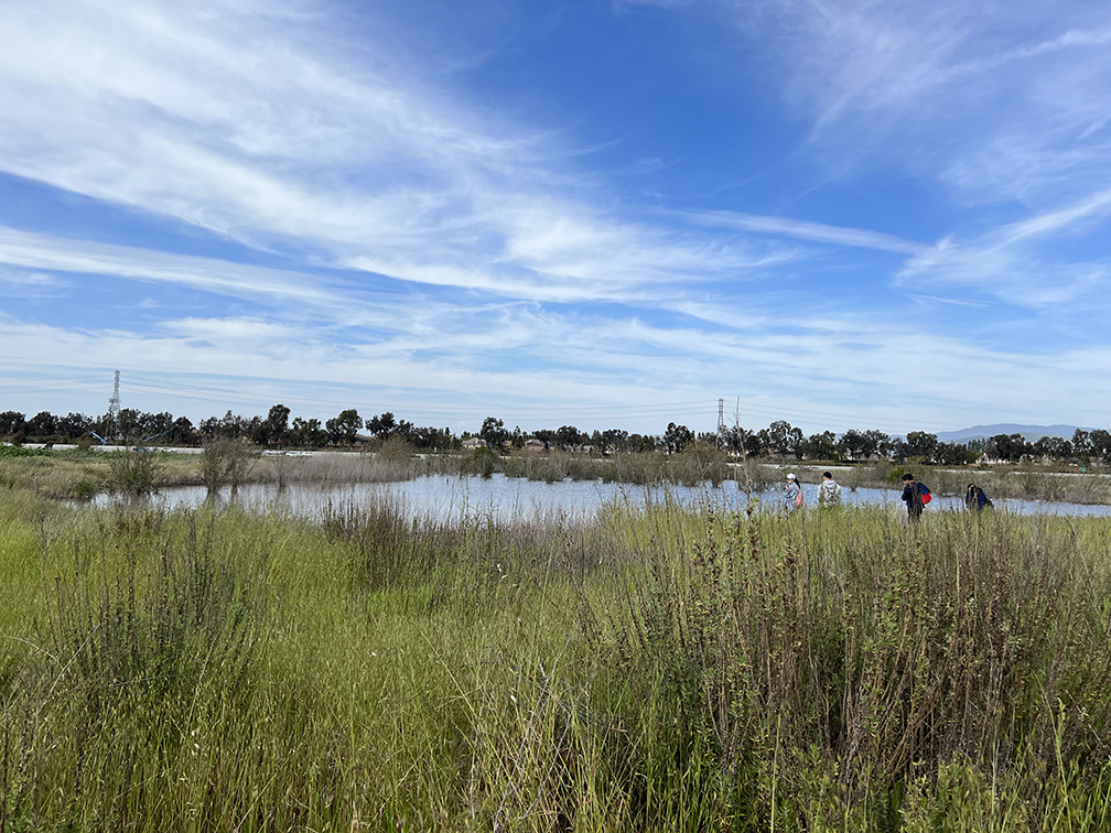 Quail Hill Trail in Irvine, California (Photo by Julie Nguyen)